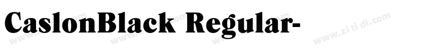 CaslonBlack Regular字体转换